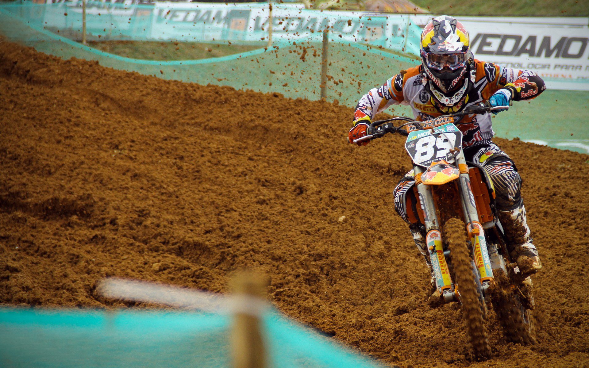 中国跳水队包揽世界杯金牌 新生代选手表现亮眼