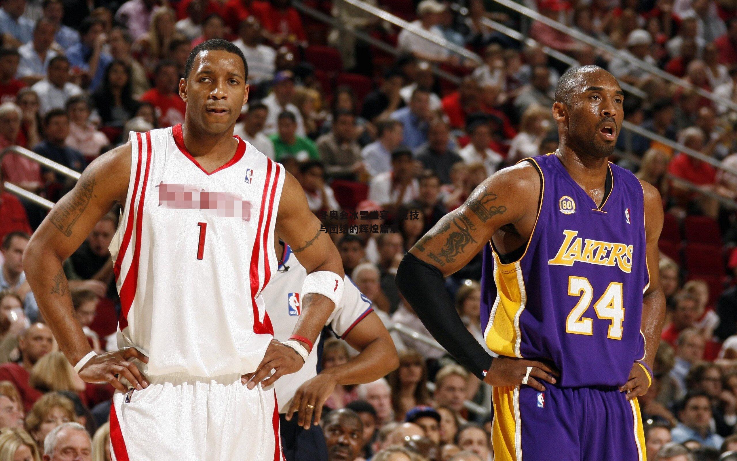 冬奥会冰雪盛宴,竞技与团结的辉煌篇章